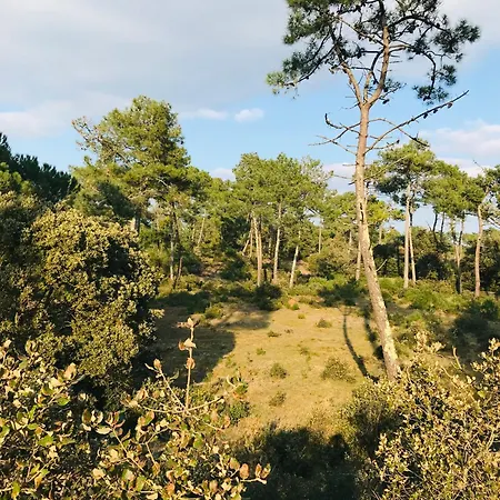Hollywood, Piscine, Et Golf Saint-Jean-de-Monts